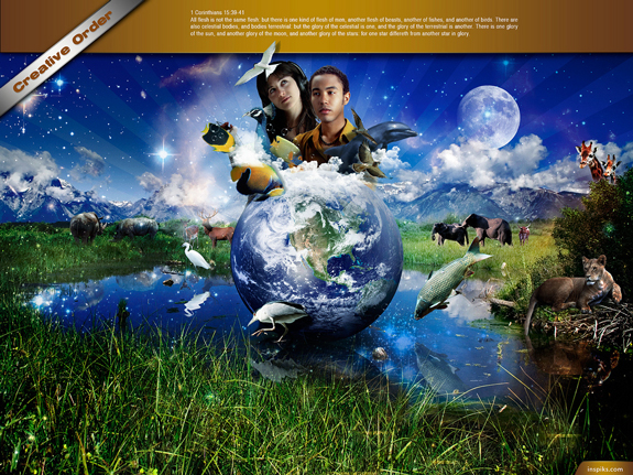 Creative Order by loswl Creative Order preview Creative Order