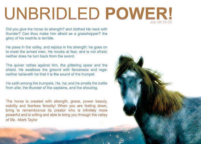 UNBRIDLED POWER WALLPAPER