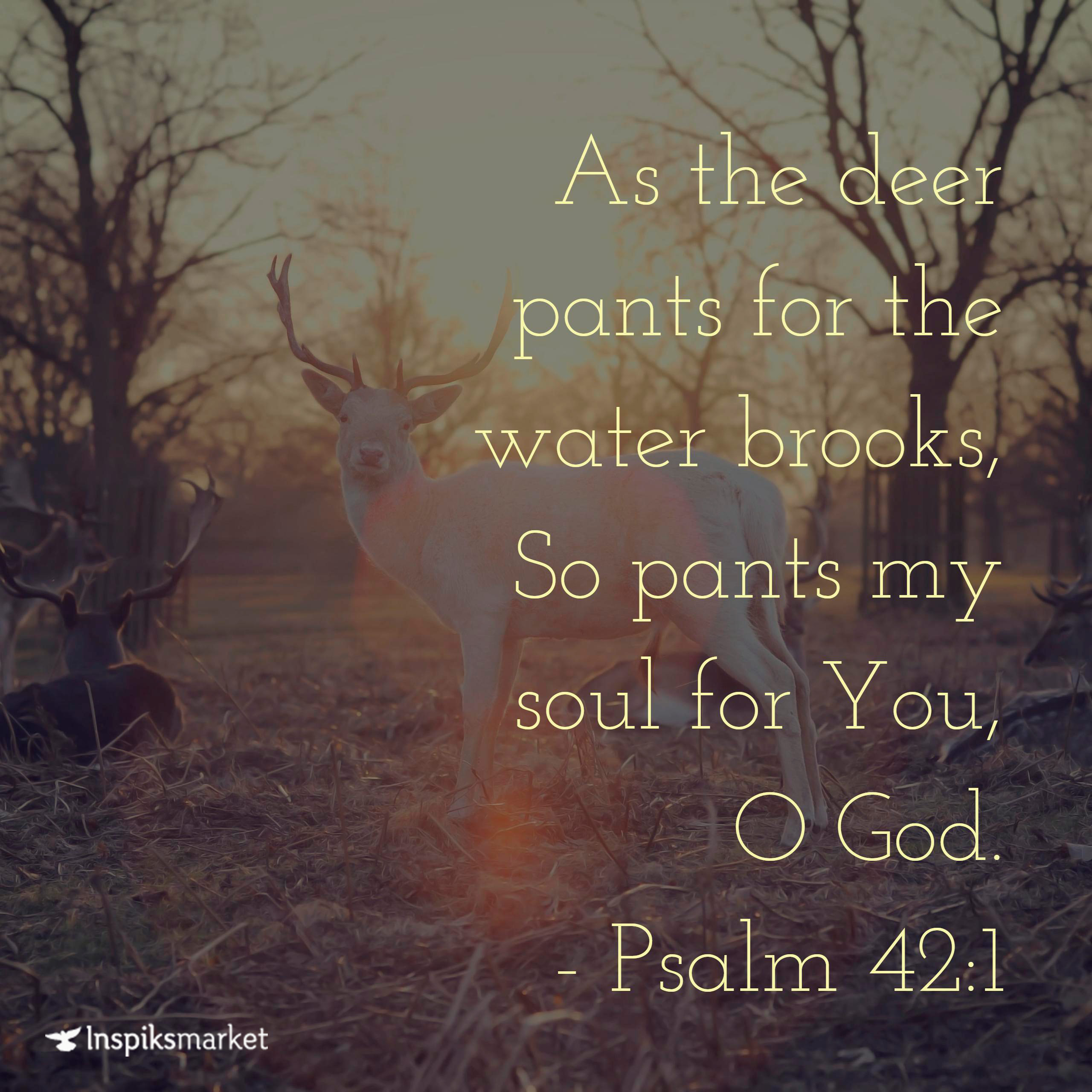 As the deer pants for the water brooks Inspiks Market