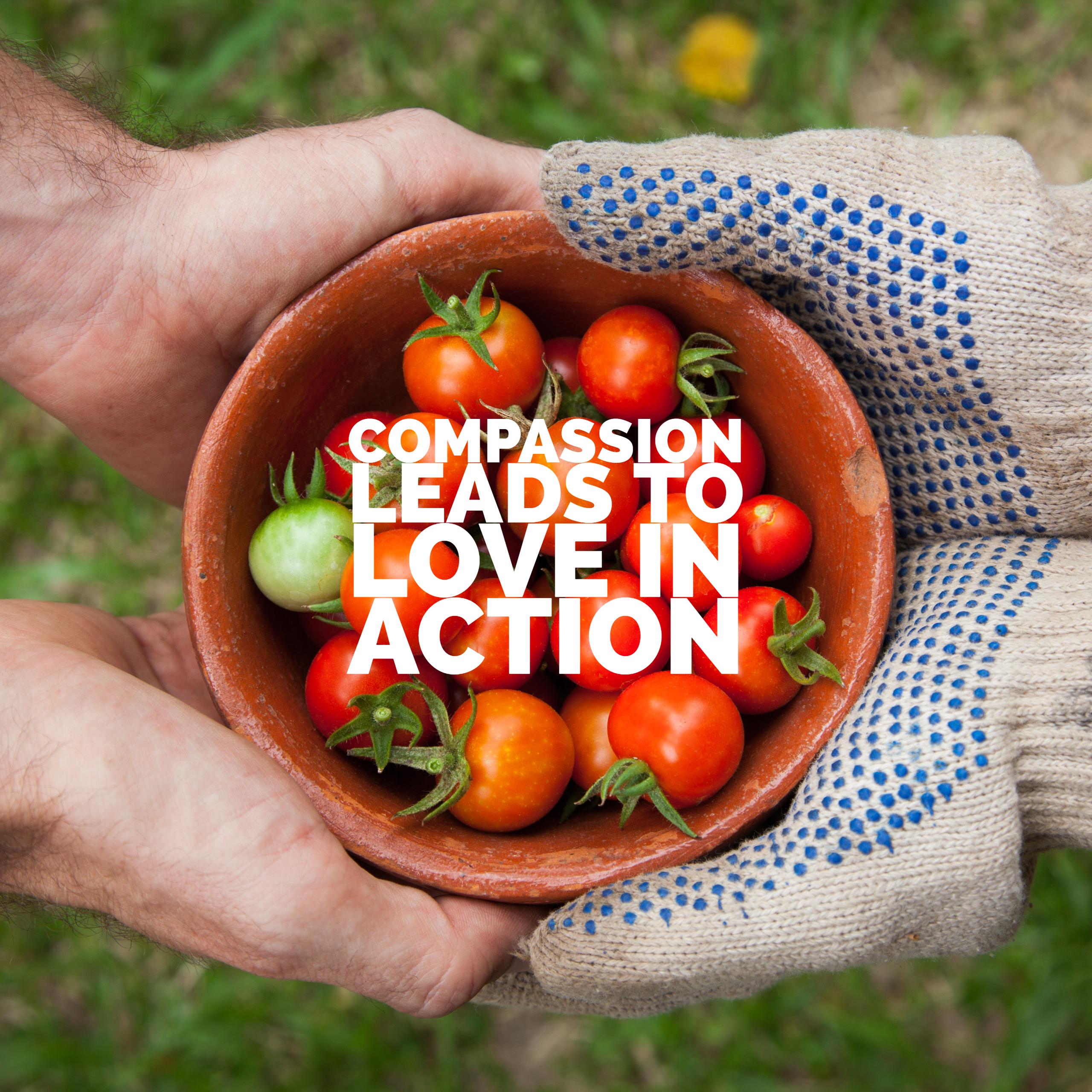 Compassion leads to love in action