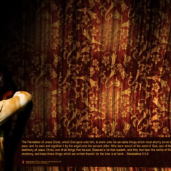 Wallpapers by INSPIKS.com