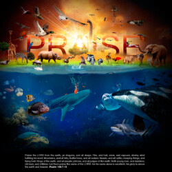 Praise ye the LORD. Praise ye the LORD from the heavens: praise him in the heights. Praise ye him, all his angels: praise ye him, all his hosts. Praise ye him, sun and moon: praise him, all ye stars of light.
Praise him, ye heavens of heavens, and ye waters that be above the heavens. Let them praise the name of the LORD: for he commanded, and they were created. He hath also stablished them for ever and ever: he hath made a decree which shall not pass.
Praise the LORD from the earth, ye dragons, and all deeps: Fire, and hail; snow, and vapours; stormy wind fulfilling his word: Mountains, and all hills; fruitful trees, and all cedars:
Beasts, and all cattle; creeping things, and flying fowl: Kings of the earth, and all people; princes, and all judges of the earth: Both young men, and maidens; old men, and children:
Let them praise the name of the LORD: for his name alone is excellent; his glory is above the earth and heaven. He also exalteth the horn of his people, the praise of all his saints; even of the children of Israel, a people near unto him. Praise ye the LORD.
Psalm 148