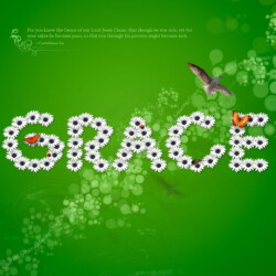 Wallpapers by INSPIKS.com