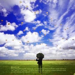 Wallpapers by INSPIKS.com