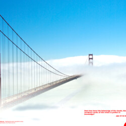 Wallpapers by INSPIKS.com