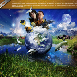 Wallpapers by INSPIKS.com