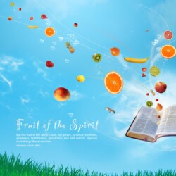 Wallpapers by INSPIKS.com