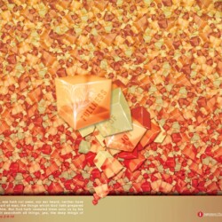 Wallpapers by INSPIKS.com