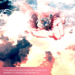 For by grace are ye saved through faith; and that not of yourselves: it is the gift of God: Ephesians 2:8