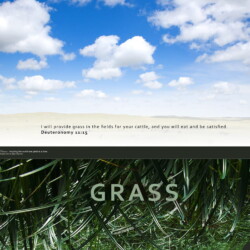 Wallpapers by INSPIKS.com