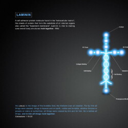 Wallpapers by INSPIKS.com