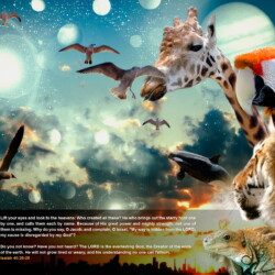 Wallpapers by INSPIKS.com