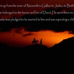 Wallpaper by Wayne Rasor