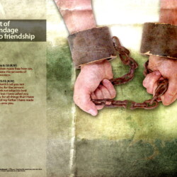 Wallpapers by INSPIKS.com