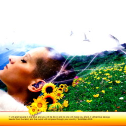 Wallpapers by INSPIKS.com