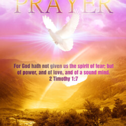 For God hath not given us the spirit of fear; but of power, and of love, and of a sound mind. 2 Timothy 1:7PURPLEPurple: Symbolizes Jesus' royalty; believer's royalty; majesty; wealth; power; penitence; the name of God; kingdom authority; dominion, son-ship; the promises of God; inheritance; mediator; inheritance; priesthood. Revelations 5:10, "And has made us unto our God kings and priests and we shall reign on the earth."WHITE White: Symbolizes Creator; righteousness acquired through blood of Christ; Bride's garment; salvation; surrender; holiness, saints; angels, peace; triumph; victory; glory; joy; light. Rev. 4:4, 6:2 GOLD / AMBER Glory of God, the Father's heavenly care, fiery passion, flaming throne of God; the temple of God, wisdom.