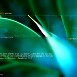 Wallpapers by INSPIKS.com