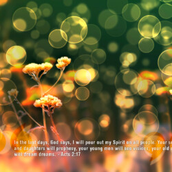 Wallpapers by INSPIKS.com