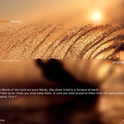 Wallpapers by INSPIKS.com