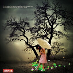 In the way of righteousness is life: and in the pathway thereof there is no death. Proverbs 12:28