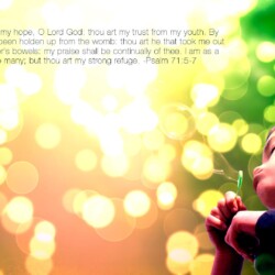 Wallpapers by INSPIKS.com