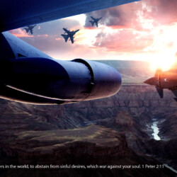 Dear friends, I urge you, as aliens and strangers in the world, to abstain from sinful desires, which war against your soul. 1 Peter 2:11