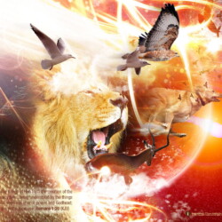 Wallpapers by INSPIKS.com