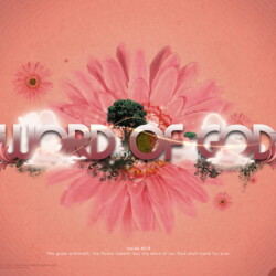 Wallpapers by INSPIKS.com