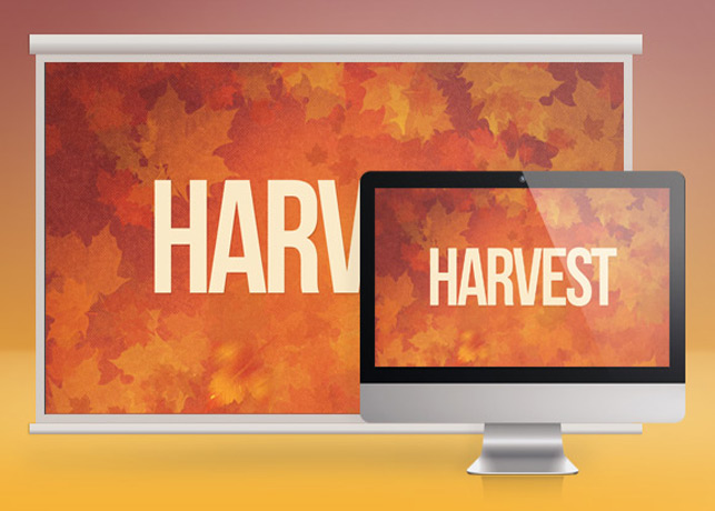 Harvest Celebration Template Bundle